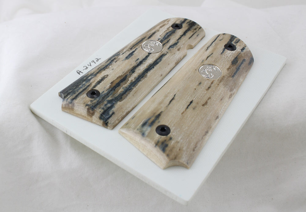 BARK MAMMOTH IVORY 1911 GRIPS WITH COLT SILVER MEDALLIONS A -2492
