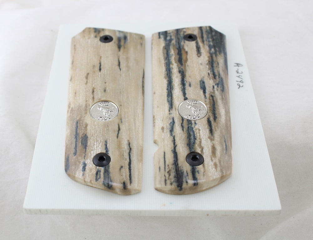 BARK MAMMOTH IVORY 1911 GRIPS WITH COLT SILVER MEDALLIONS A -2492