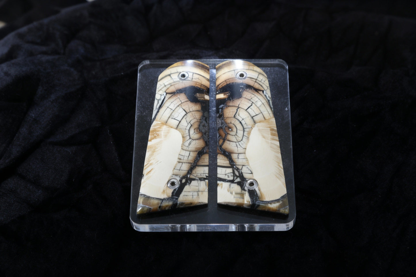 CROSSCUT MAMMOTH IVORY 1911 GRIPS A-2816