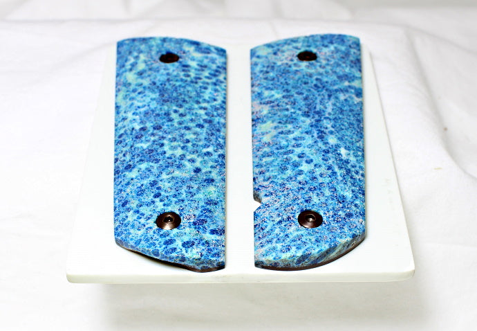 SALE!! BLUE BRAIN CORAL A-2283
