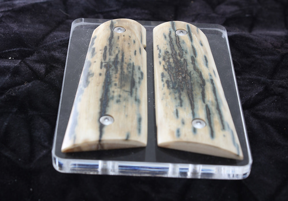 BLUE BARK MAMMOTH IVORY 1911 GRIPS A-2686