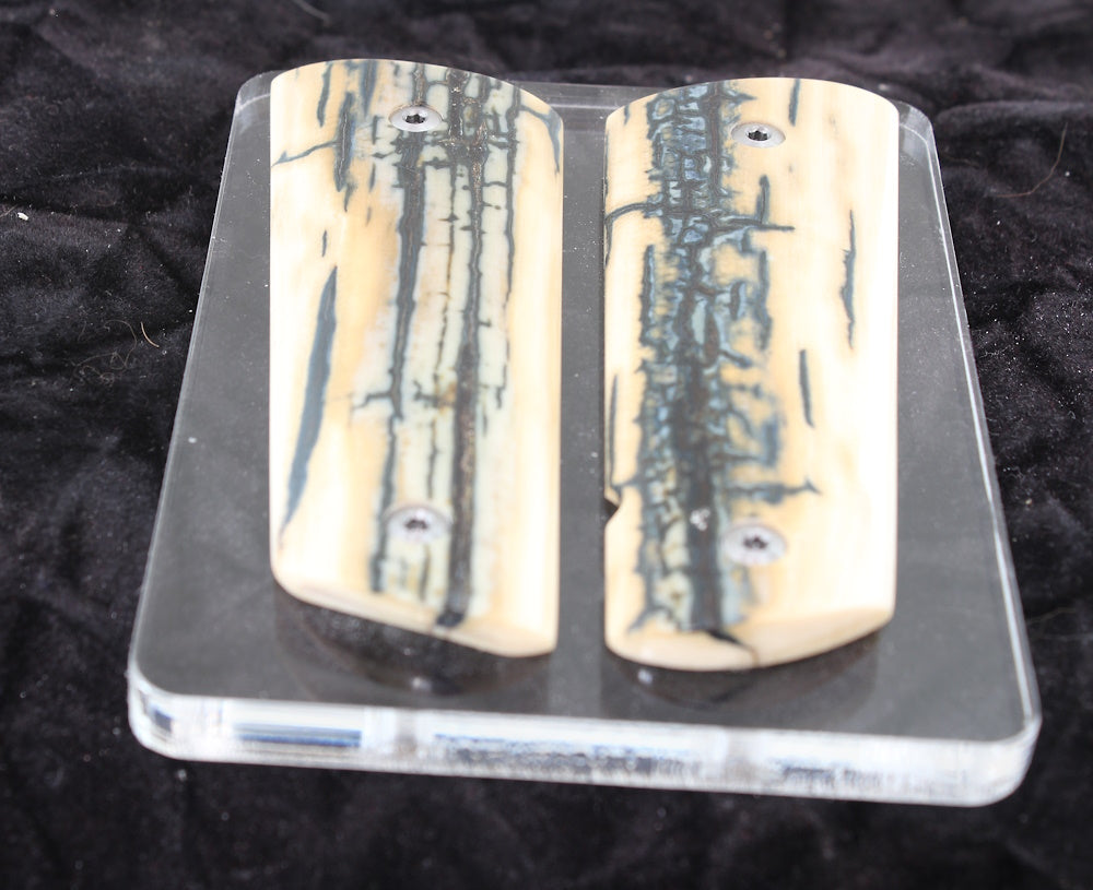 BLUE BARK MAMMOTH IVORY 1911 GRIPS A-2688