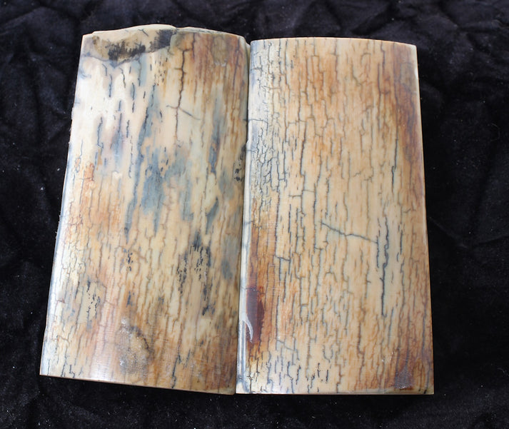 Colt Python Ivory Grip Blanks – Mammoth Classic – Gunner Products