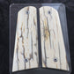 CREAMY BARK MAMMOTH IVORY 1911 GRIPS A-2698