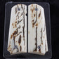 BARK MAMMOTH IVORY 1911 GRIPS A-2766