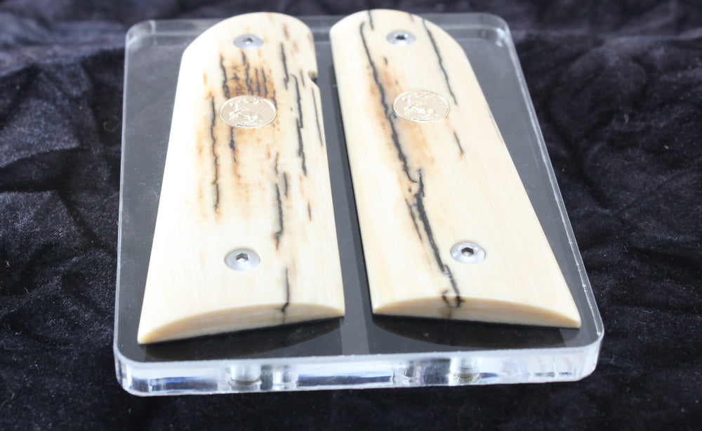 BARK MAMMOTH IVORY WITH COLT GOLD MEDALLIONS A-2810