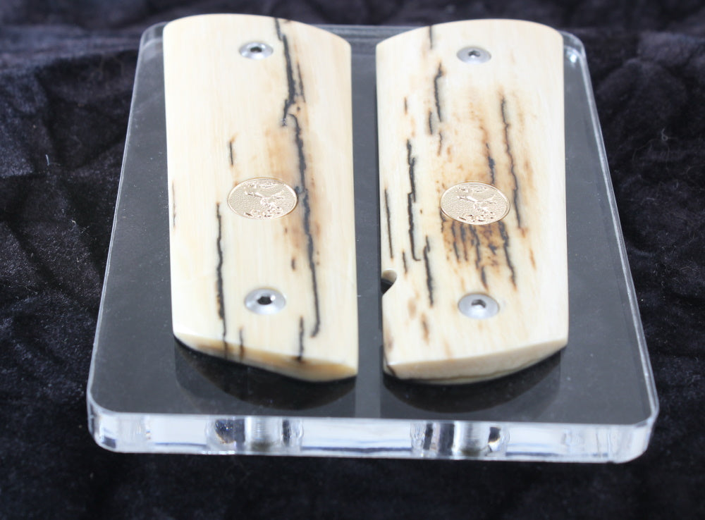 BARK MAMMOTH IVORY WITH COLT GOLD MEDALLIONS A-2810