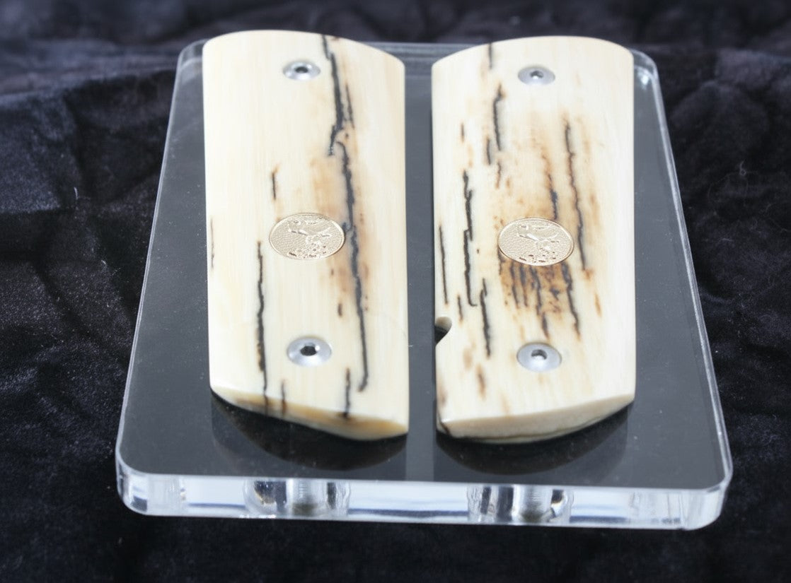 BARK MAMMOTH IVORY WITH COLT GOLD MEDALLIONS A-2810