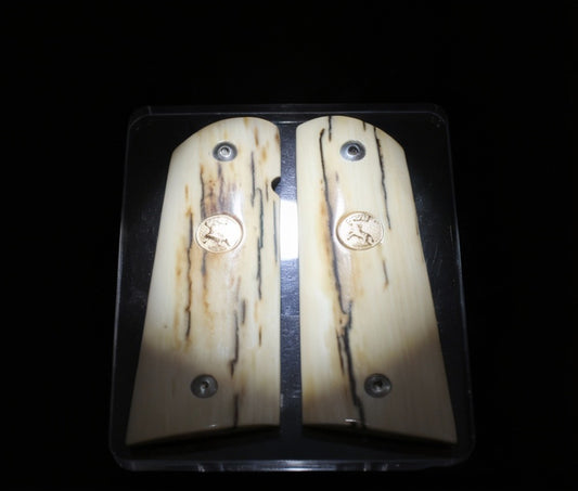 BARK MAMMOTH IVORY WITH COLT GOLD MEDALLIONS A-2810